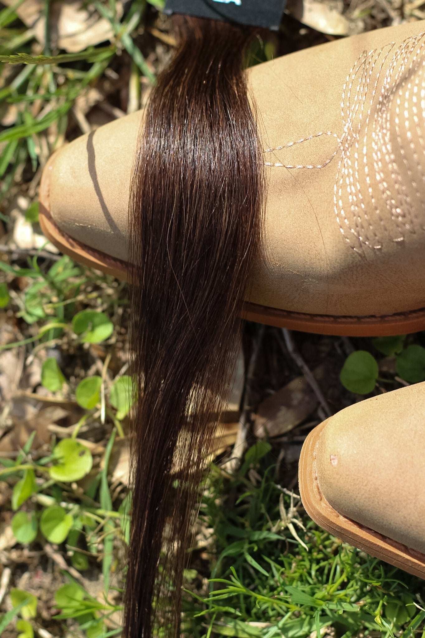 The Sister Genius Weft
